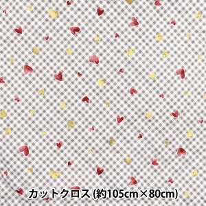 n wJtLoXV[`OLg Xp[NOn[g JbgNX 105×80cm O[ QCOCAN-HT-GYx KOKKA RbJ