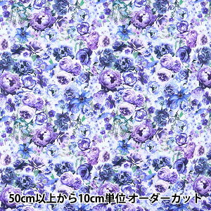 y5z n wUSARbg t[Eh[X ԕ FLEUR-CD8880x