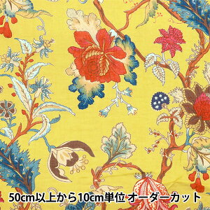 y5z n wCh{Cvg gsJt[ 2650102-YEx