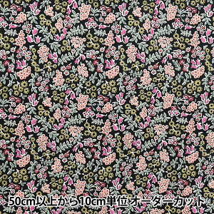 y5z n woeBEt@ubNX ^i[ x[E`[ DC34897-J25Ax Liberty Japan oeBWp