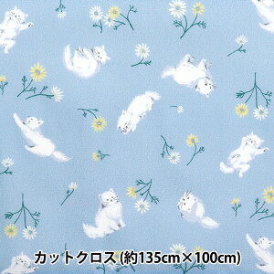 n w͂RۖhL|GXe JbgNX 135cm×100cm ˂Ƃ u[ C-HP-SC-CA-BLx