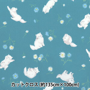 n w͂RۖhL|GXe JbgNX 135cm×100cm ˂Ƃ u[O[ C-HP-SC-CA-BGx