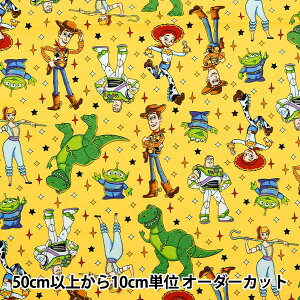 y5z n wIbNX gCEXg[[ gX^[ CG[ G-7438-1Bx KOKKA RbJ