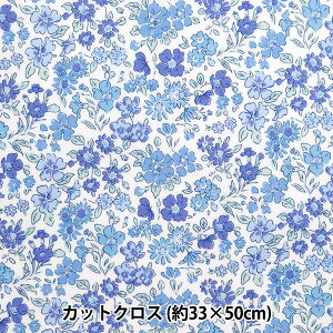 n woeBEt@ubNX ~l[gJbgNX 33×50cm Aix RC3630012624ExLiberty Japan oeBWp