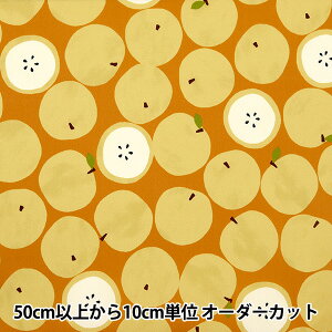 y5z n w͂|GXe S CG[ HP-APP-YEx