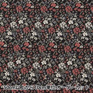 y5z n wu[h ԕ ubN KTS7061-Fx COTTON KOBAYASHI Rbg΂₵ ё@