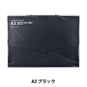 [ wA^[gP[X A3 ubN ART-702x