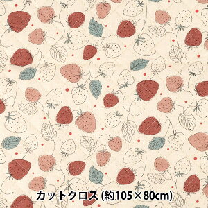 ���n �w�J���t���L�����o�X �L���g �V���v���x���[ �J�b�g�N���X ��105×80cm �i�`������ QCOCA-JBB-NA�x KOKKA �R�b�J