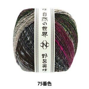 H~ю w 75ԐFx NORO Cp