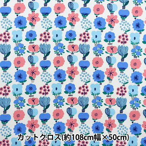 n wkippis (LbsX) IbNX JbgNX 108×50cm ~̐A u[ KPOK-85Bx