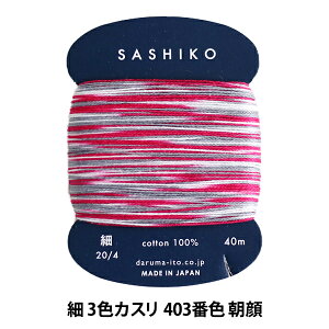 hイ whq () J[h 3FJX 403ԐF x DARUMA _} c