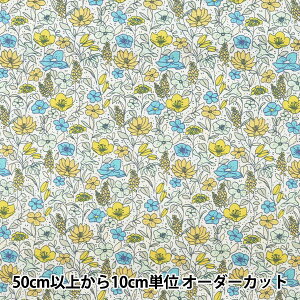 y5z n wu[h  CG[ KTS6750-Bx COTTON KOBAYASHI Rbg΂₵ ё@