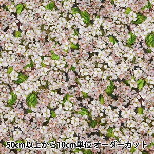 y5z n wCNWFbgvg BLOOM xr[sN 27787Dx USARbg