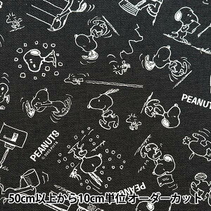 y5z n wIbNX Xk[s[ fj ubN 789091-BKTx