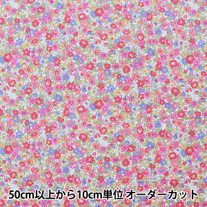 y5z n wimaDOKI V[`Ovg XNICH rbgt[ ItzCg IMAF-10OWx