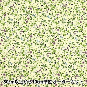 y5z n wcCvg t[c&ԕ u[ KSP4894-Bx COTTON KOBAYASHI Rbg΂₵ ё@