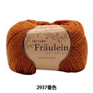 H~юwXL[t[ 2937ԐFxSKI YARN XL[[