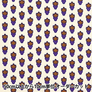 y5z n wSOULEIADO \CA[h V[`O EveBbgE[V O[vx[W SLF-314Ex