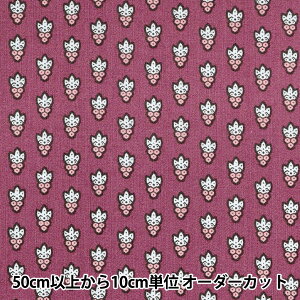 y5z n wSOULEIADO \CA[h V[`O EveBbgE[V [ SLF-314Fx