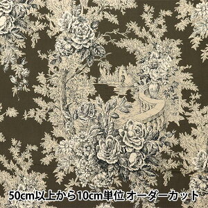 y5z n w̑c V[eBO Sceney `R[ KS24-019-Bx YUWA L֏X