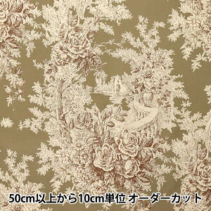 y5z n w̑c V[eBO Sceney J[L KS24-019-Cx YUWA L֏X