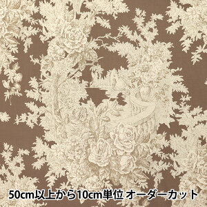 y5z n w̑c V[eBO Sceney uE KS24-019-Dx YUWA L֏X