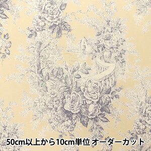 y5z n w̑c V[eBO Sceney p[v KS24-019-Fx YUWA L֏X