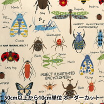 楽天市場】昆虫図鑑（手芸・クラフト・生地｜日用品雑貨・文房具・手芸 
