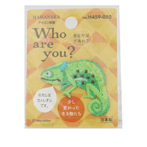 ���b�y�� �wWho Are You? (�t�[�A�[���[?) �J�����I�� H459-050�x Hamanaka �n�}�i�J