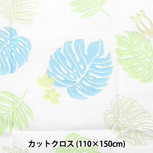 ���n �w�I�p�[�� �J�b�g�N���X ��110cm×150cm �����X�e���� C-RAM-OBDNO10�x