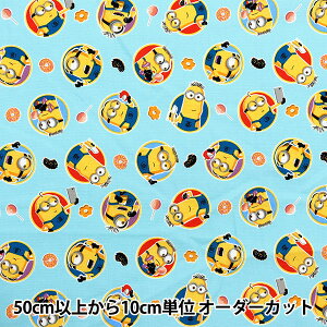 y5z n wIbNX ~jI XC[c Cgu[ G-4211-1Bx KOKKA RbJ