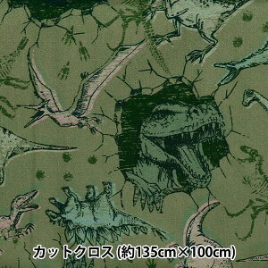 n w͂RۖhL|GXe JbgNX 135cm×100cm _Ci\[ O[ C-HP-SC-DI-GRx