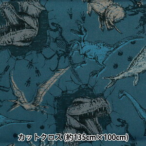 n w͂RۖhL|GXe JbgNX 135cm×100cm _Ci\[ u[ C-HP-SC-DI-BLx