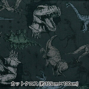 n w͂RۖhL|GXe JbgNX 135cm×100cm _Ci\[ `R[ C-HP-SC-DI-CHx