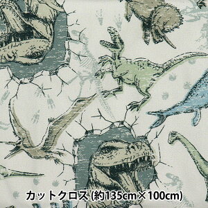 n w͂RۖhL|GXe JbgNX 135cm×100cm _Ci\[ x[W C-HP-SC-DI-BEx