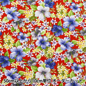 y5z n wu[h nCAvg nCrXJX bh 284-A-REx