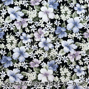 y5z n wu[h nCAvg nCrXJX O[ 284-D-GYx