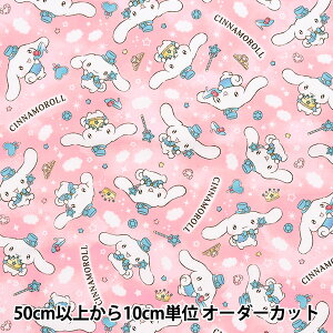 y5z n wIbNX Vi[ Xp[N sN G-8973-1Bx KOKKA RbJ