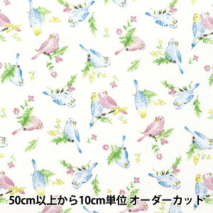 y5z n wV[`O JtLoX ʃCR zCg COCAN-BIR-WHx KOKKA RbJ