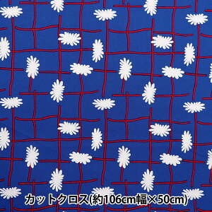 n wkippis (LbsX) V[`O JbgNX 106×50cm K[ftFX u[ KPSK-86Bx