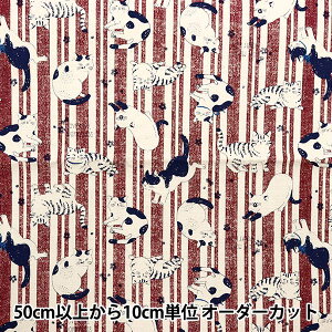 y5z n wNOVA IbNX jbR[ bh NOX-NYA-REx KOKKA RbJ