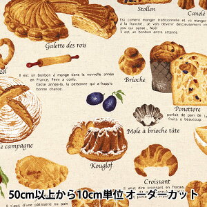 y5z n wȖLoX p i` KTS6817-Ax COTTON KOBAYASHI Rbg΂₵ ё@