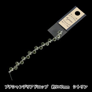 �r�[�Y �w�K���X�r�[�Y �v�`�V�����f���A�h���b�v ��5×7mm �V�g���� JAN25-51-D�x