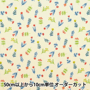 y5z n wXPA g|Pbg ʃIni N[ 850444-1-1x