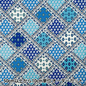 y5z n wSOULEIADO \CA[h V[`O C^Gk Cgu[ SLF-113Ax