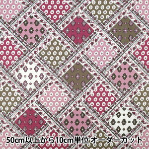 y5z n wSOULEIADO \CA[h V[`O C^Gk [ SLF-113Bx