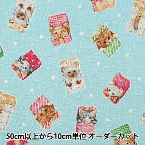 y5z n wȖLoX lRmeLX^C EGXA-8800-1Cx KOKKA RbJ