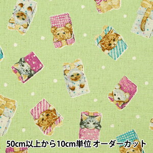 y5z n wȖLoX lRmeLX^C EGXA-8800-1Dx KOKKA RbJ