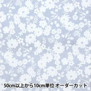 y5z n wIbNX [X×lCN ԕ YPA-59030-1Cx KOKKA RbJ