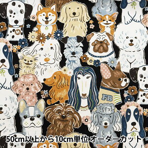 y5z n wIbNX ptAj} ubN YGA-71000-2Ex KOKKA RbJ